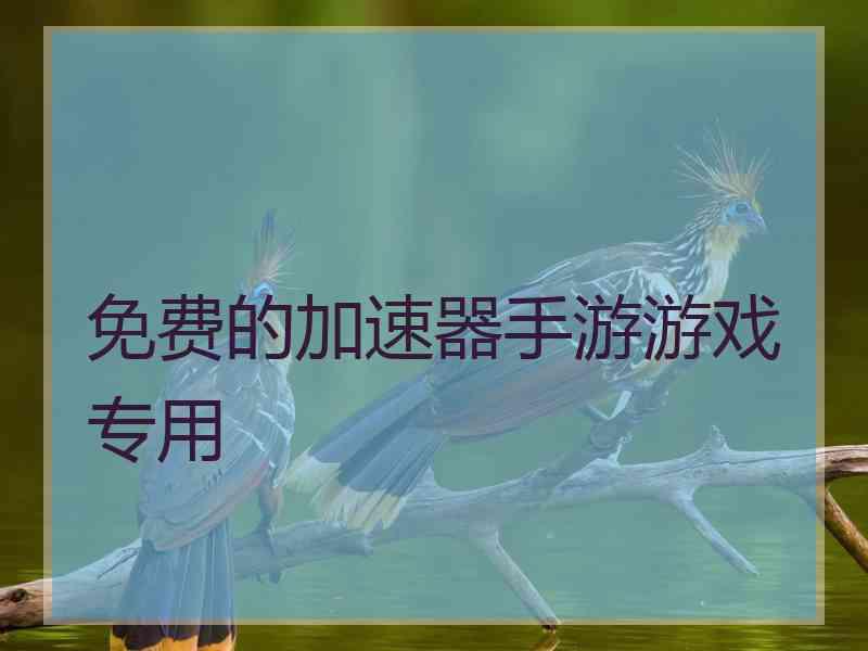 免费的加速器手游游戏专用