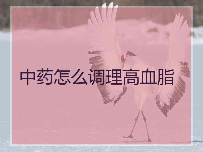 中药怎么调理高血脂