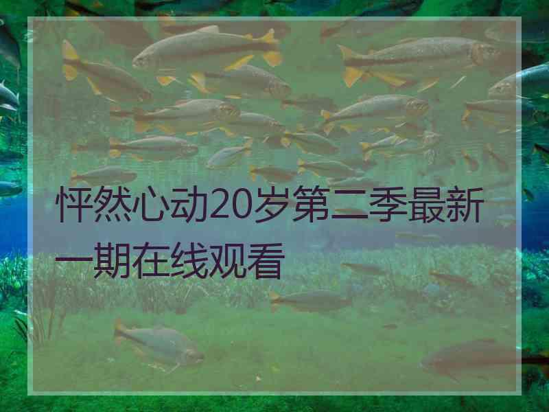 怦然心动20岁第二季最新一期在线观看