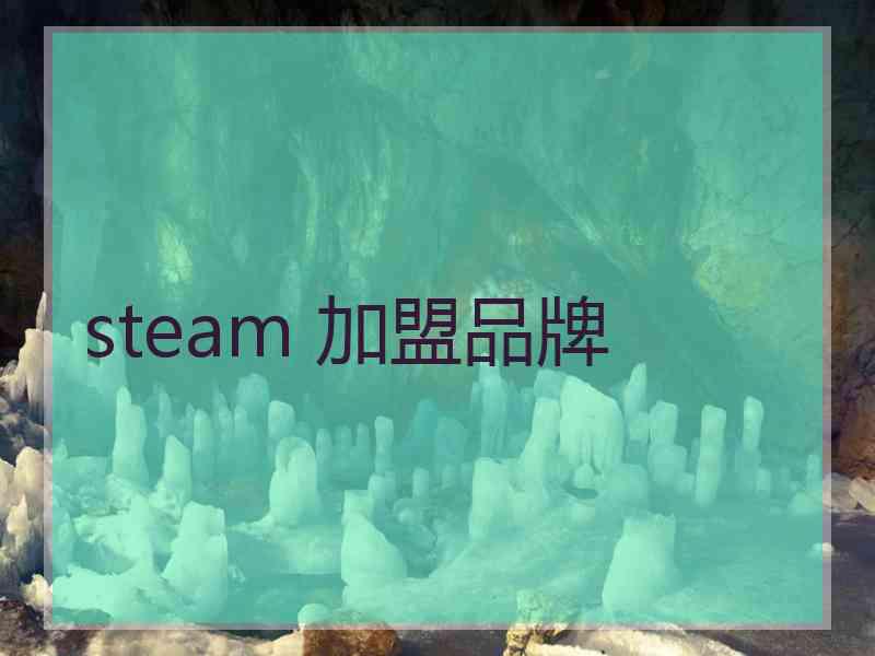 steam 加盟品牌