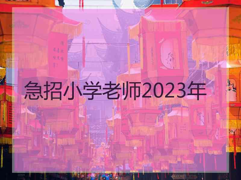 急招小学老师2023年