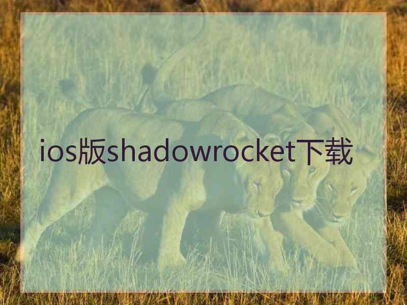 ios版shadowrocket下载