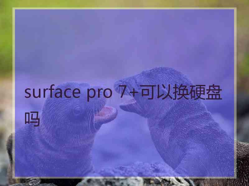 surface pro 7+可以换硬盘吗