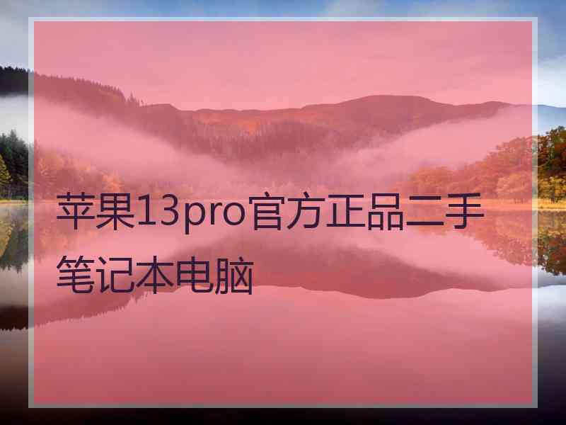 苹果13pro官方正品二手笔记本电脑