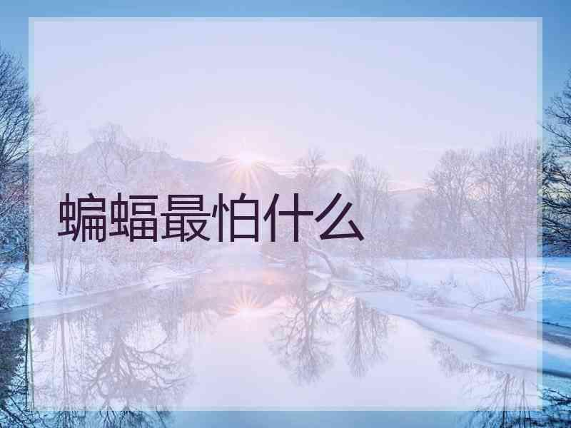 蝙蝠最怕什么