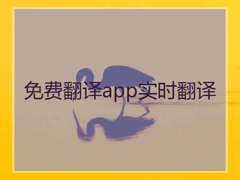 免费翻译app实时翻译