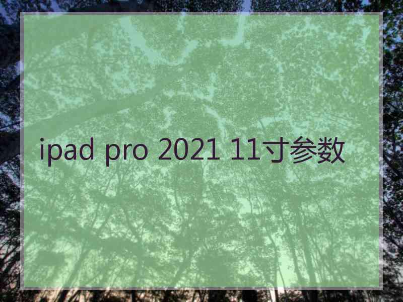 ipad pro 2021 11寸参数