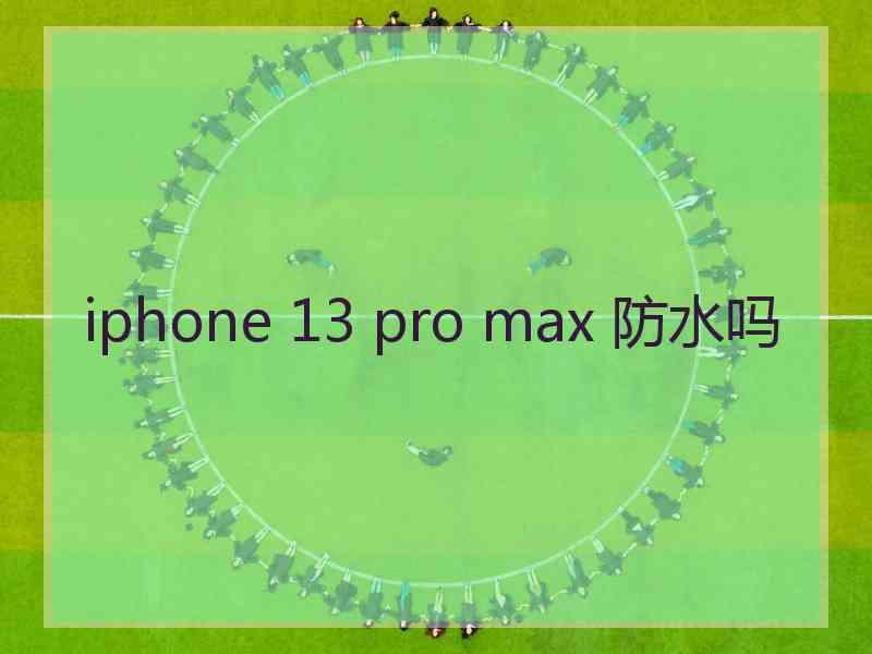 iphone 13 pro max 防水吗