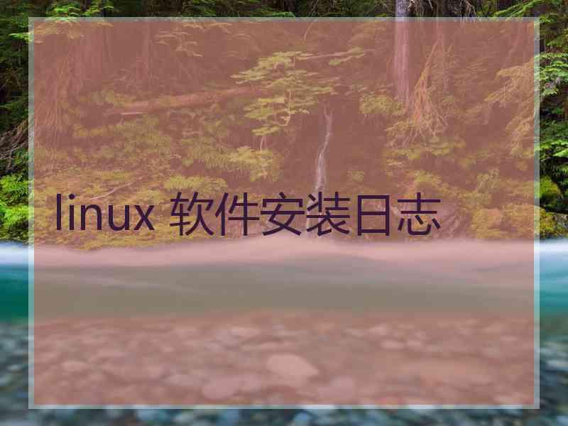 linux 软件安装日志