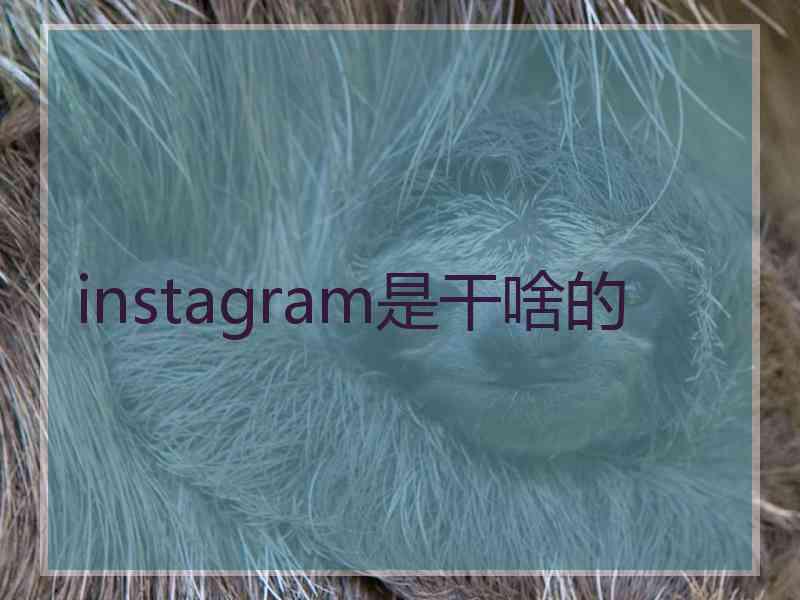 instagram是干啥的