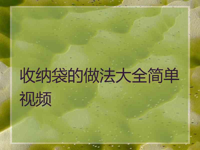 收纳袋的做法大全简单视频