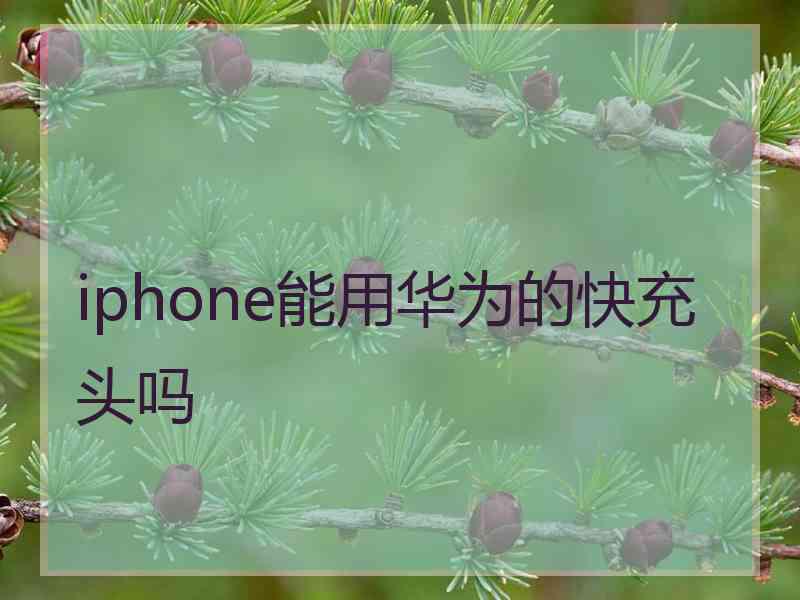 iphone能用华为的快充头吗