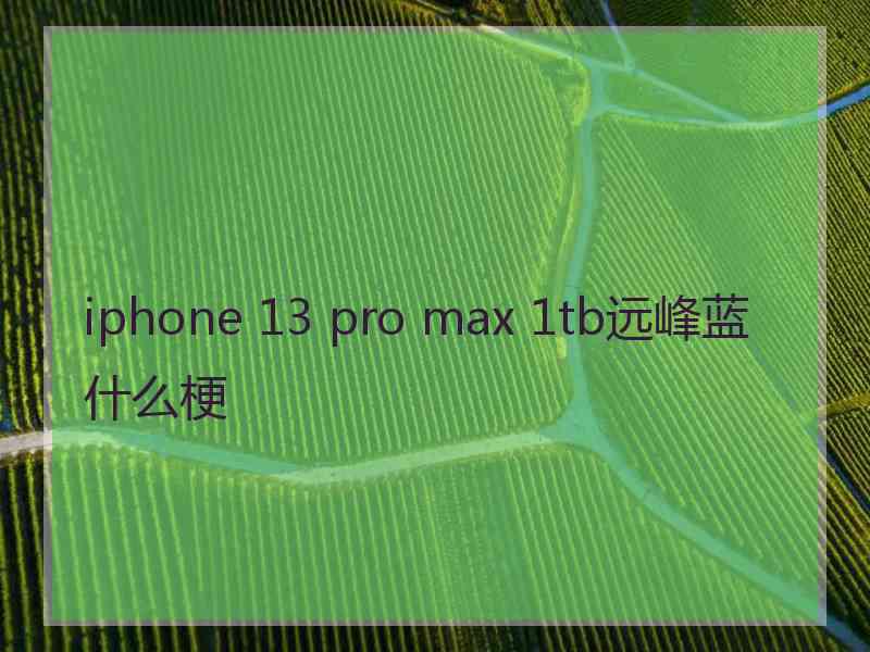 iphone 13 pro max 1tb远峰蓝什么梗