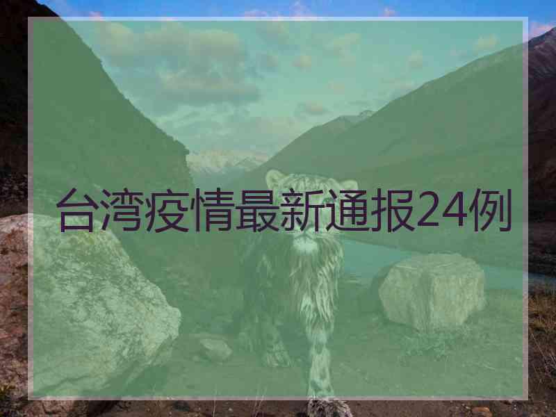 台湾疫情最新通报24例