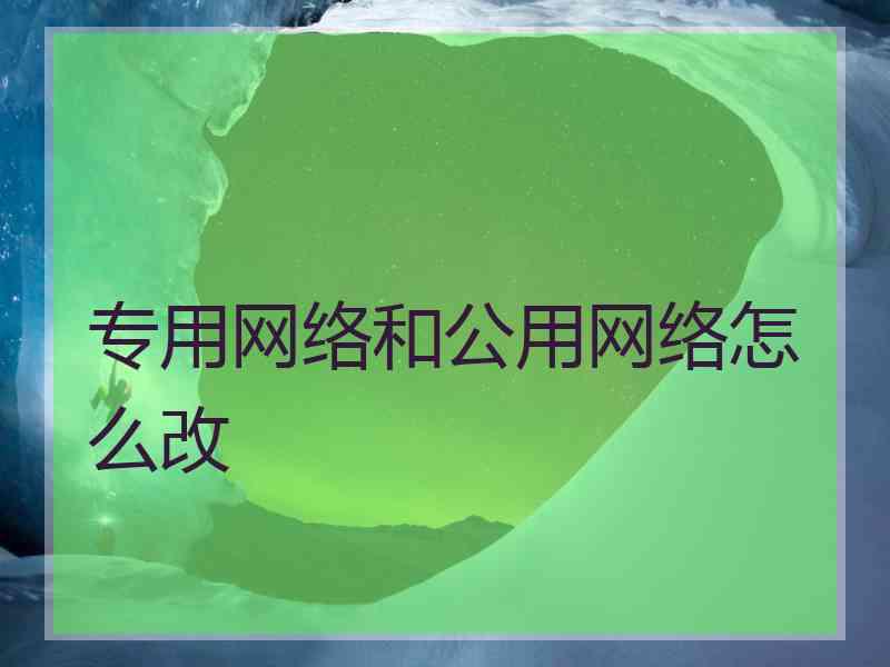 专用网络和公用网络怎么改