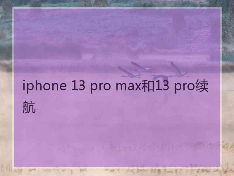 iphone 13 pro max和13 pro续航