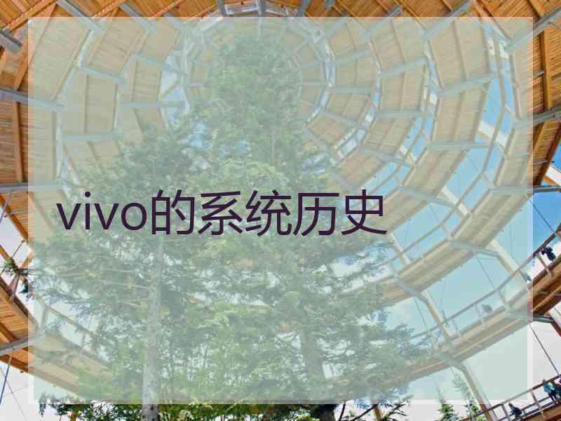 vivo的系统历史