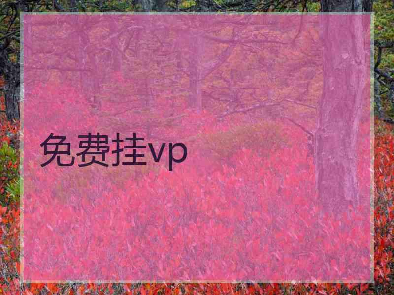 免费挂vp