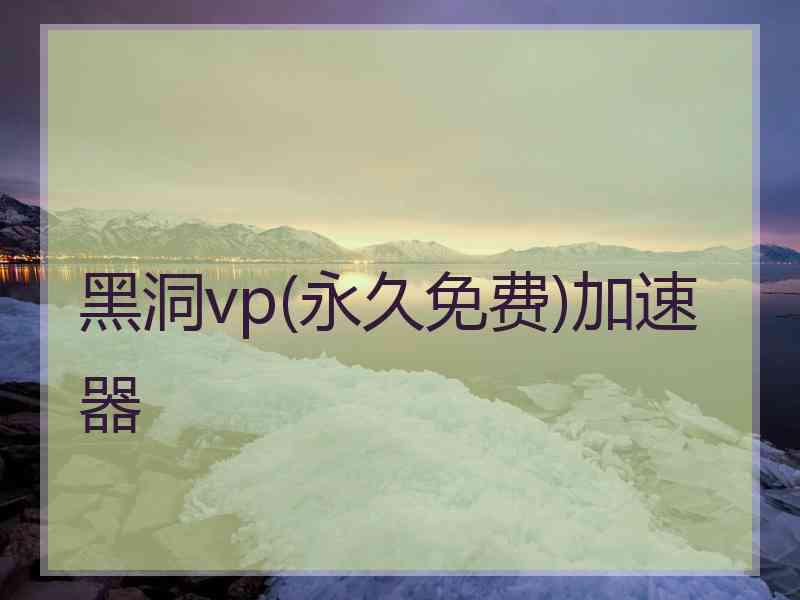 黑洞vp(永久免费)加速器