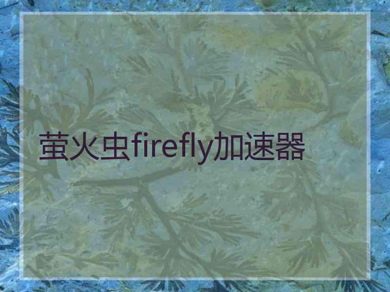 萤火虫firefly加速器