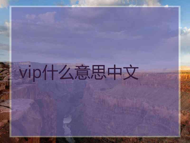 vip什么意思中文