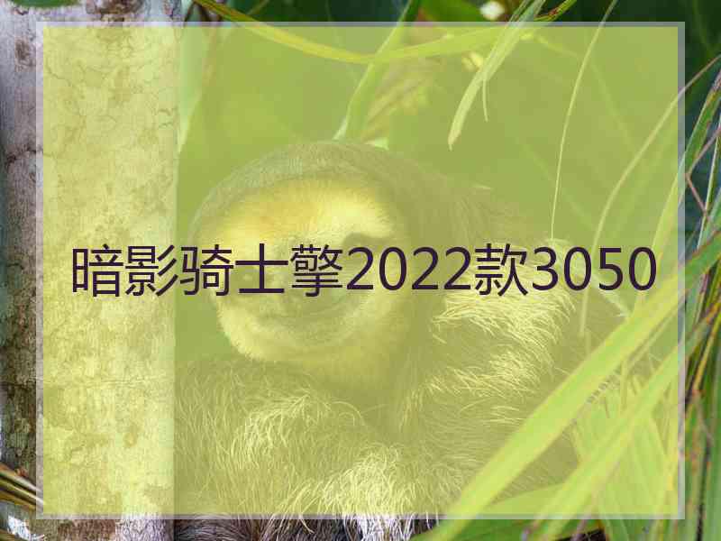 暗影骑士擎2022款3050