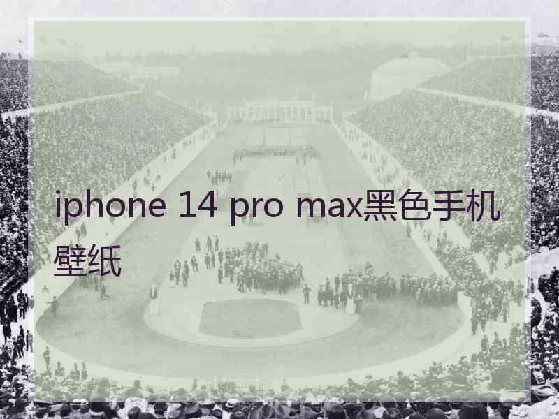 iphone 14 pro max黑色手机壁纸