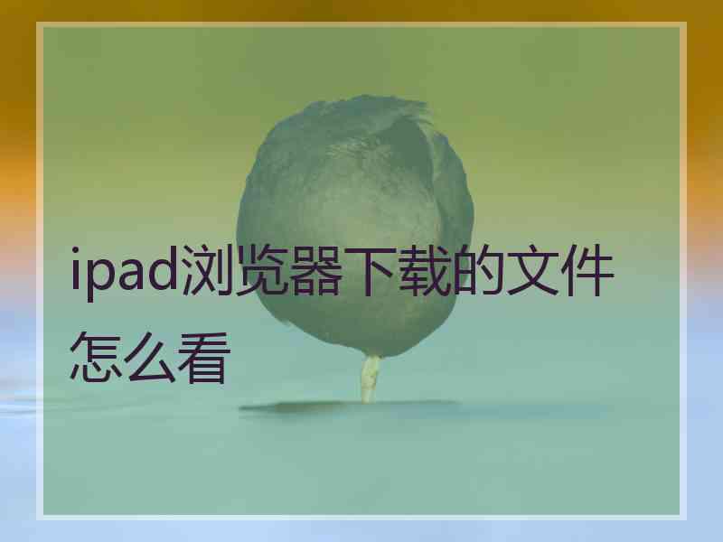 ipad浏览器下载的文件怎么看