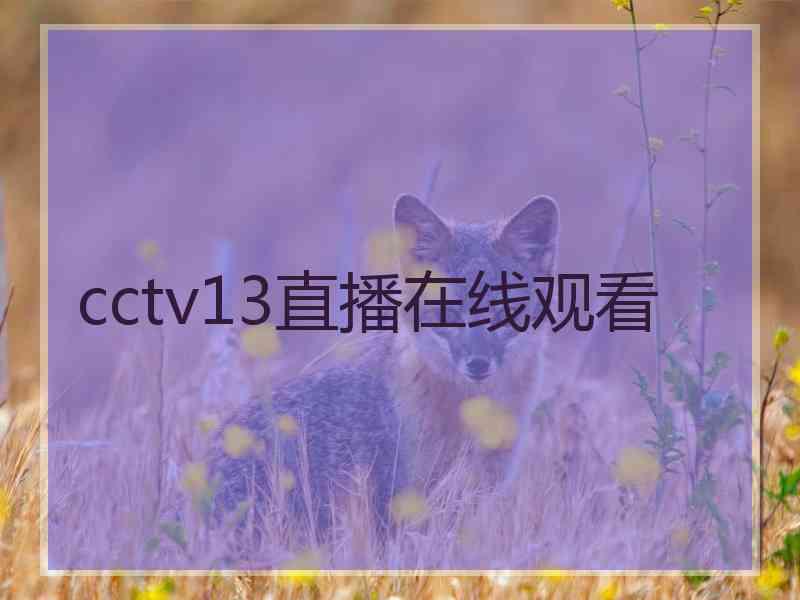 cctv13直播在线观看