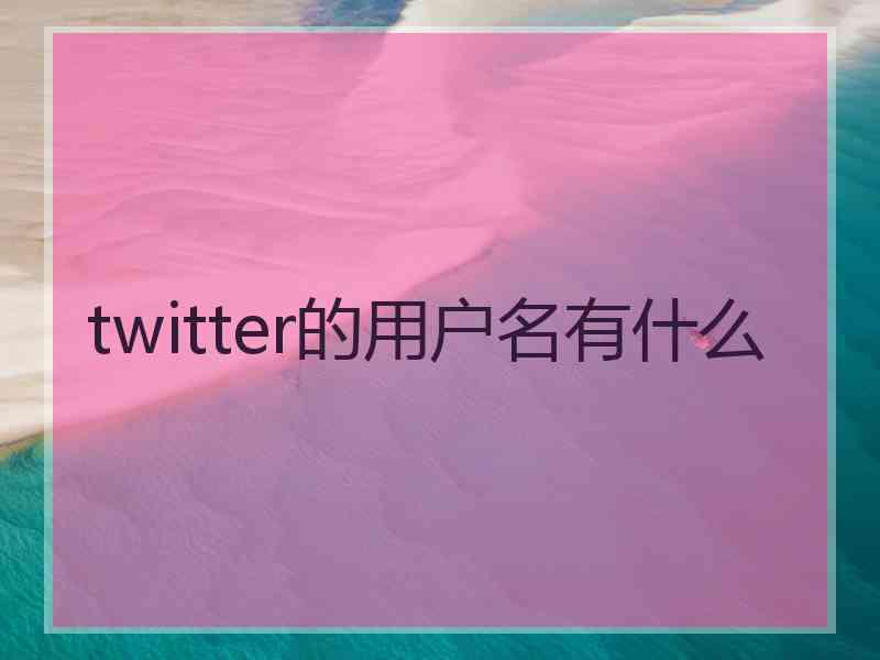 twitter的用户名有什么