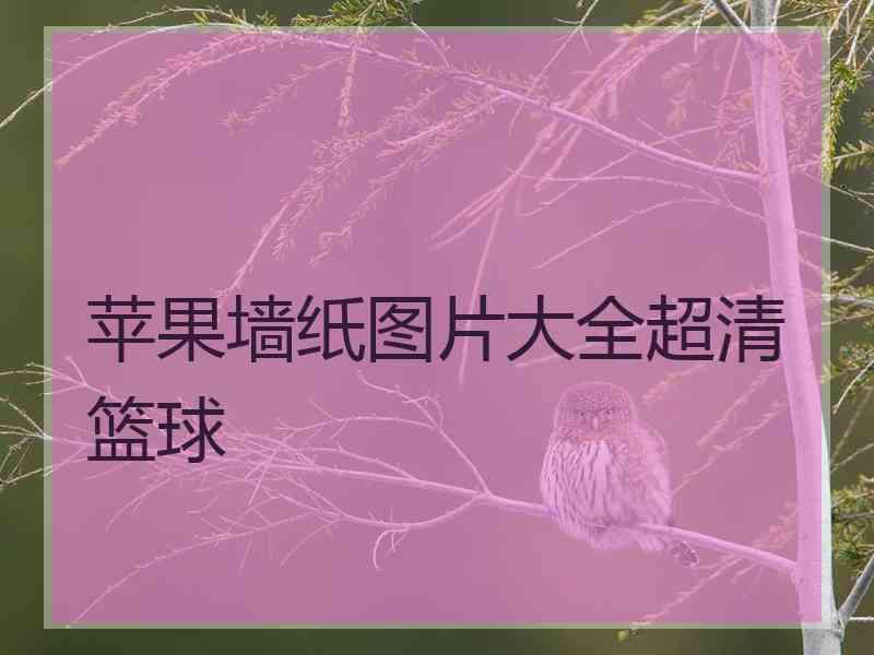 苹果墙纸图片大全超清篮球