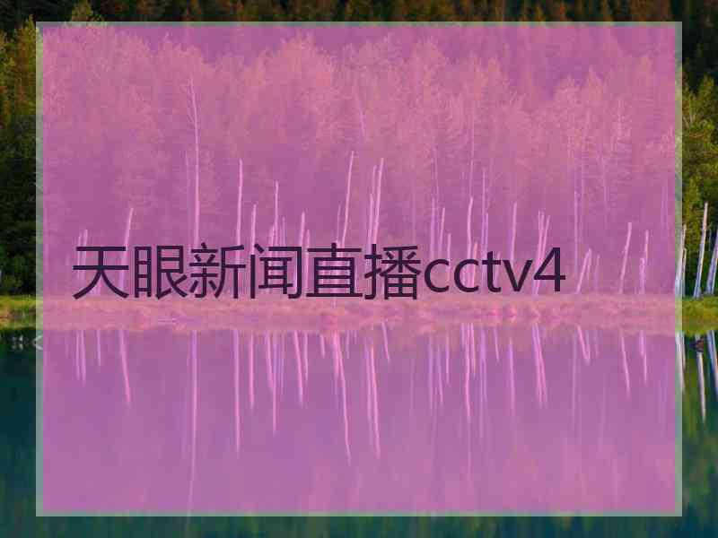 天眼新闻直播cctv4