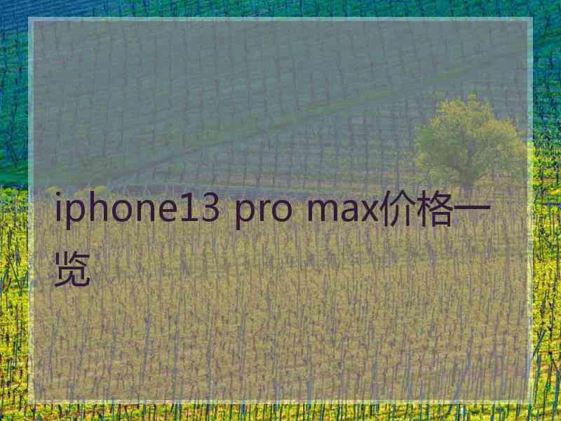 iphone13 pro max价格一览