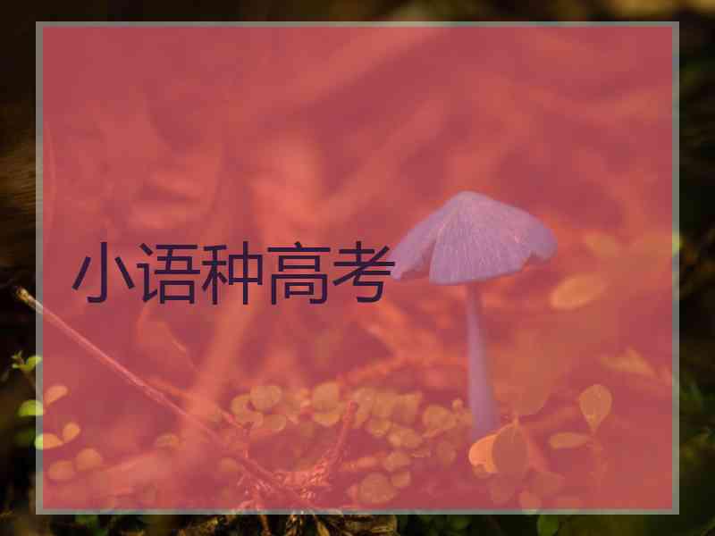 小语种高考