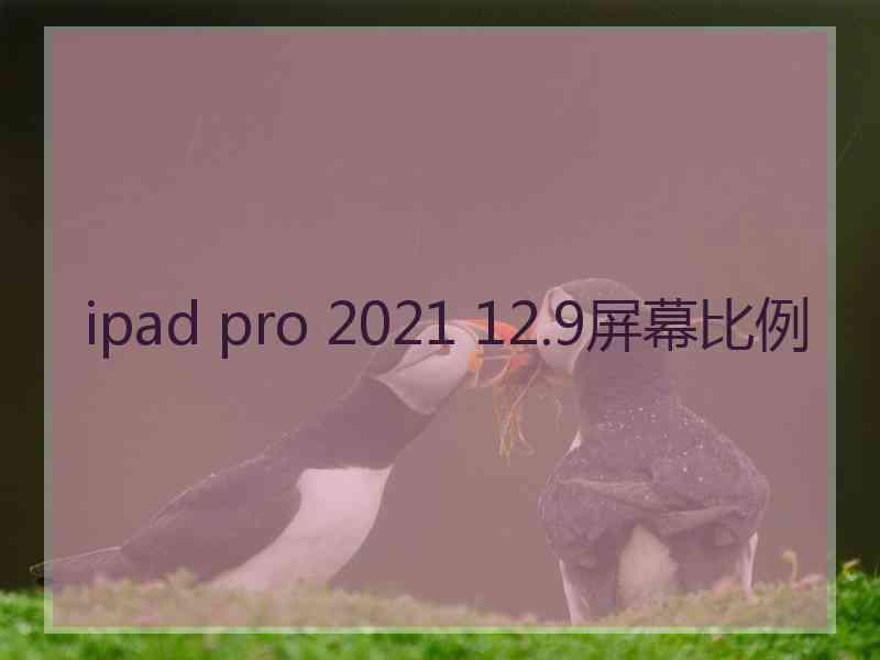 ipad pro 2021 12.9屏幕比例