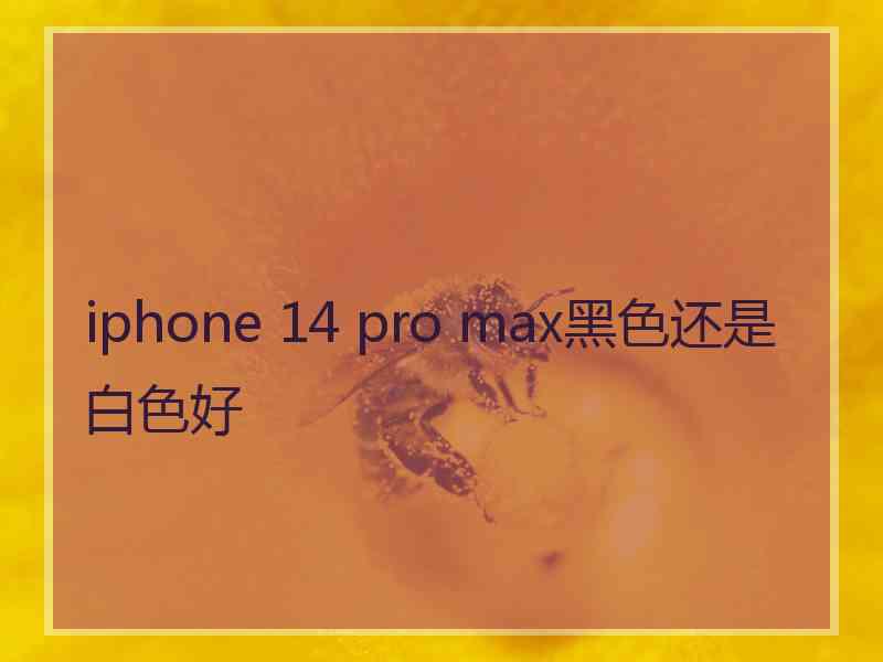 iphone 14 pro max黑色还是白色好