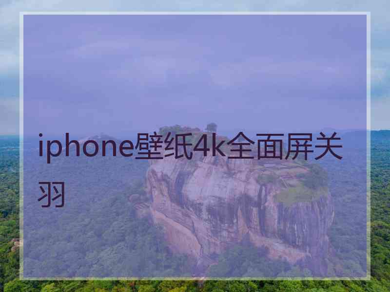 iphone壁纸4k全面屏关羽