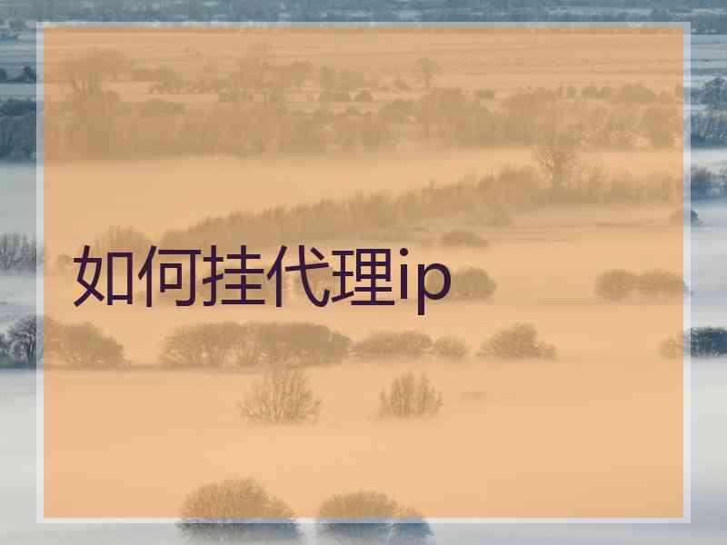 如何挂代理ip